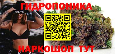 СК Кингисепп