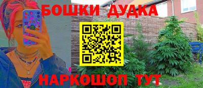 СК Кингисепп