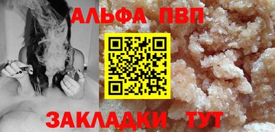 СК Кингисепп