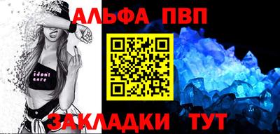 СК Кингисепп